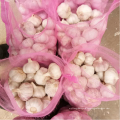 20kg mesh bag Chinese normal white garlic price in Pakistan